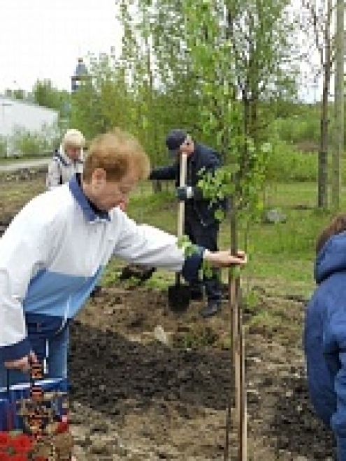 Аллея славы теперь есть и в Мурмашах