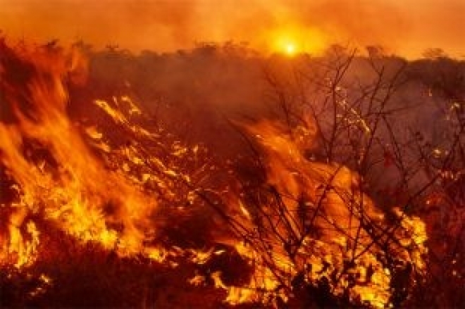 На Кольском полуострове сгорело 146 гектаров леса